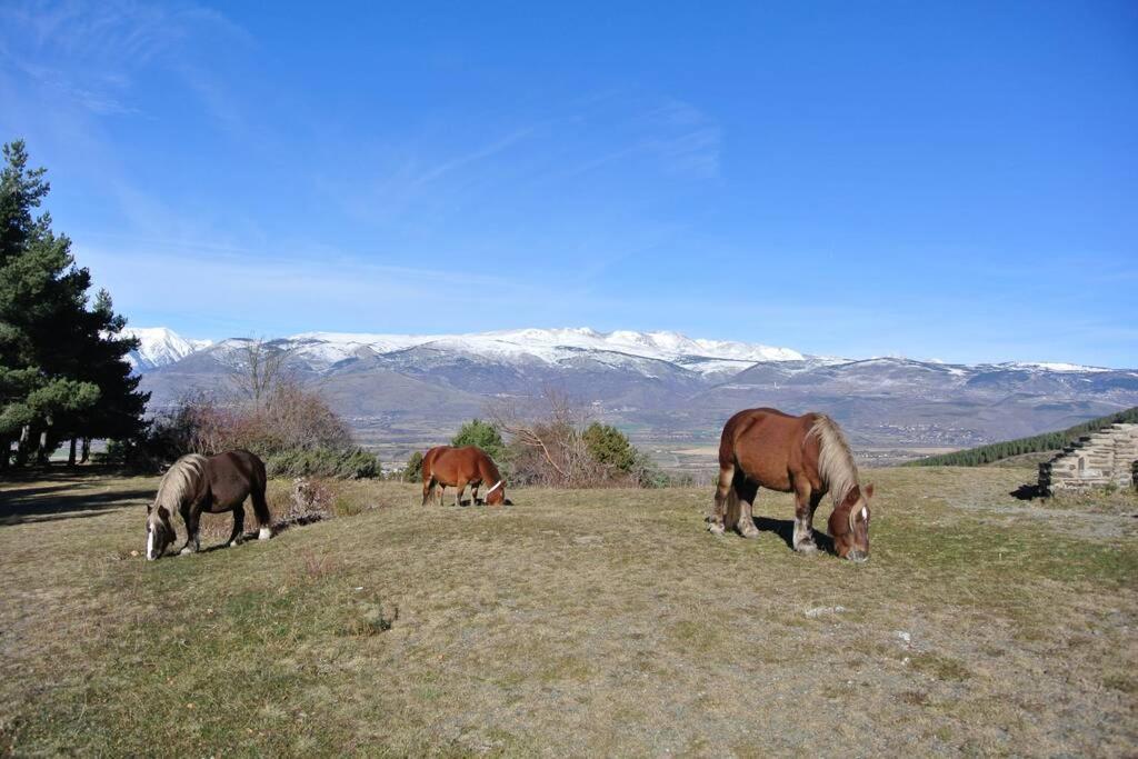 Appartamento Font-Romeu La Plane Sud - Vue Panoramique Esterno foto